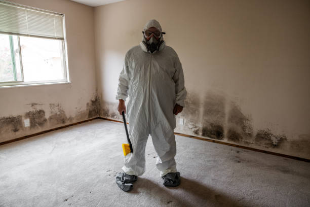 Professional Mold Removal in West Menlo Park, CA